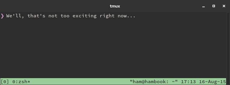 tmux entry point example